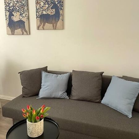 City Apartment 3 Krefeld - 20 Km Dus Airport/Messe エクステリア 写真