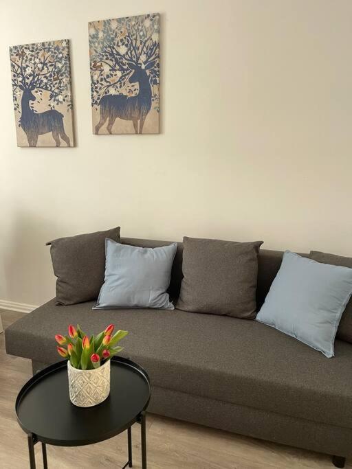 City Apartment 3 Krefeld - 20 Km Dus Airport/Messe エクステリア 写真
